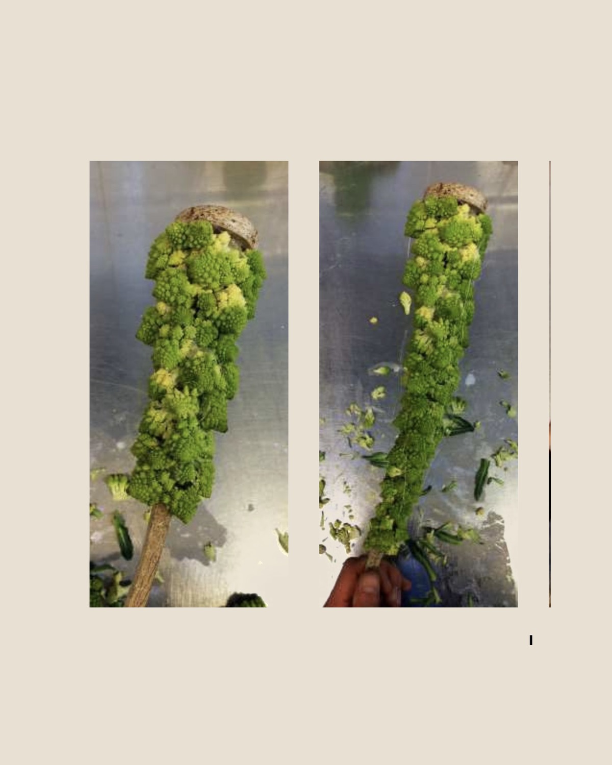 Reshaping nature